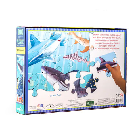 100 Piece Puzzle - Love Of Sharks