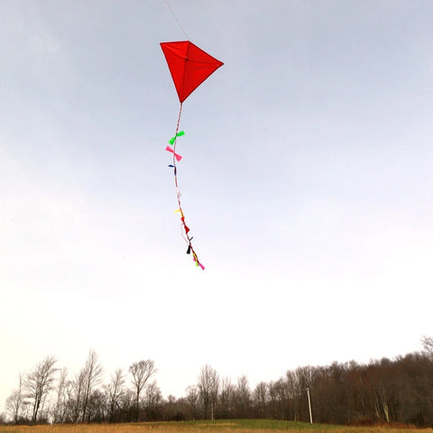 Huckleberry Red Kite