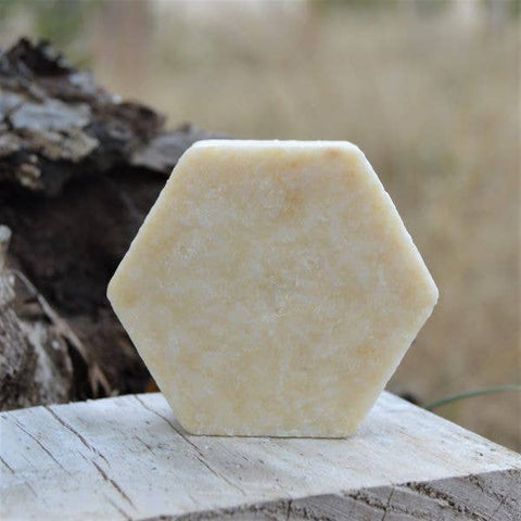 Shampoo + Shower Bar