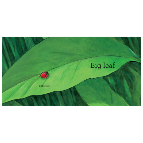 Big Bug