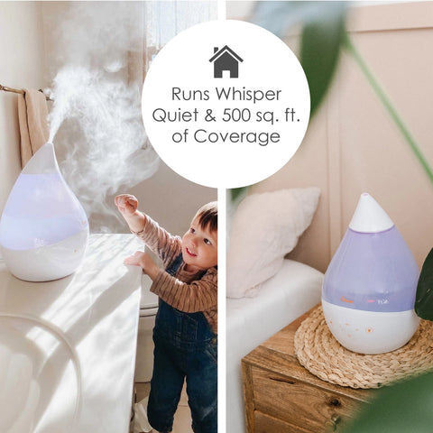crane cool mist humidifier