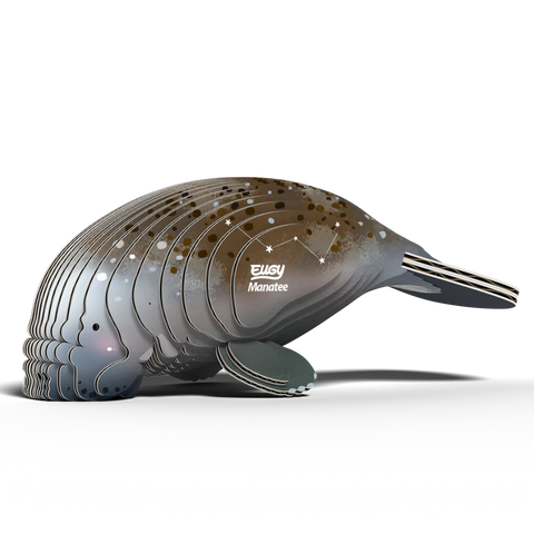 3D Model Kit - Manatee