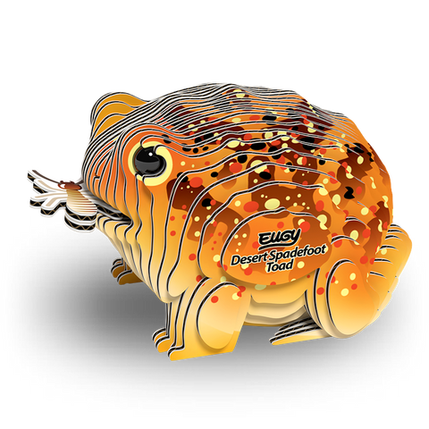 3D Model Kit - Desert Spadefoot Toad
