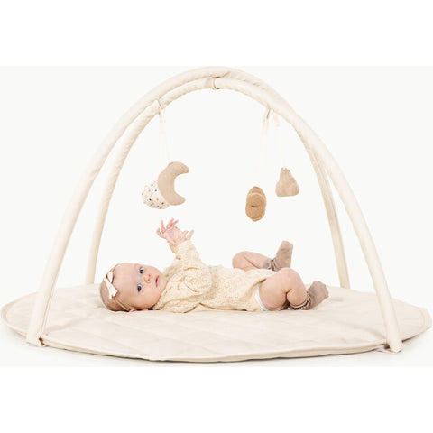 Baby Activity Gym