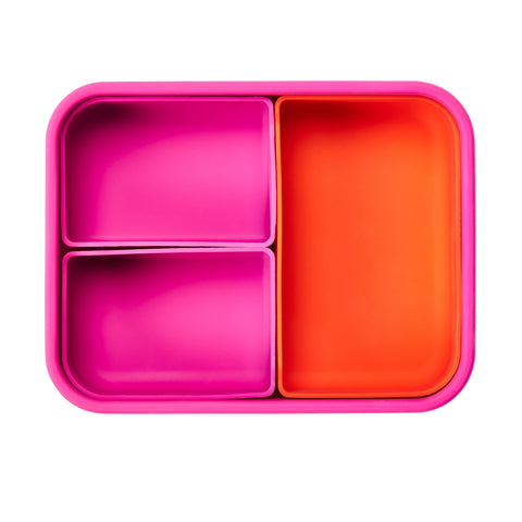 Large Build-A-Bento 4 Cups - Mantis Shrimp