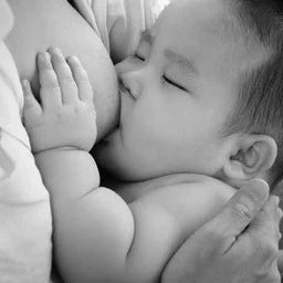 Lactation Consultation