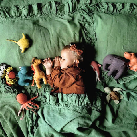 Holdie Wool Set - Safari Animals
