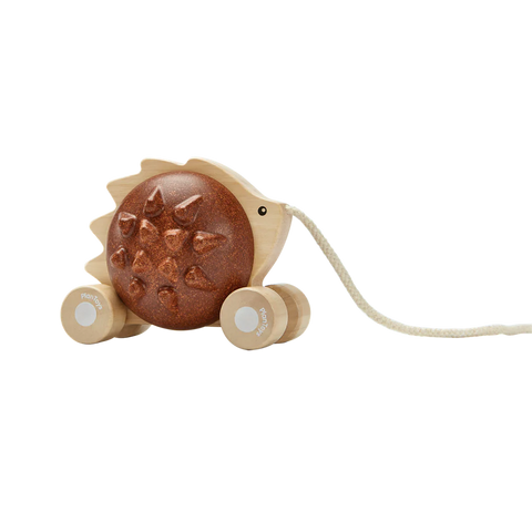 plan toys pull along hedgehog