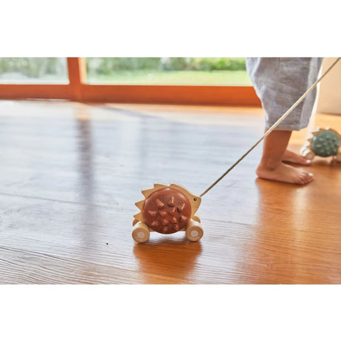 plan toys pull along hedgehog