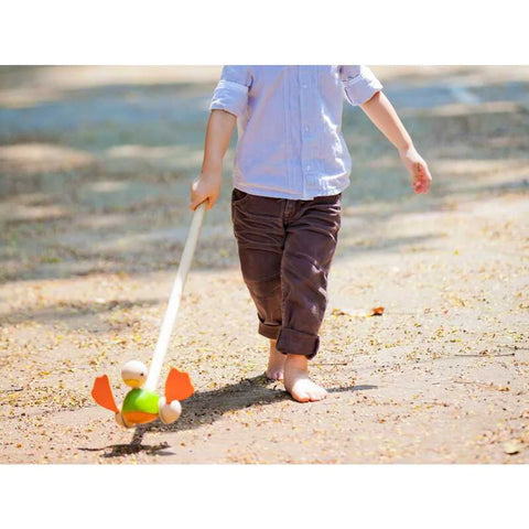 plan toys push along duck