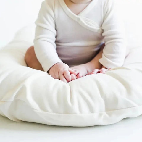 Infant Lounger Cover