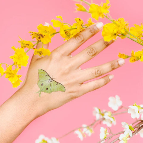 Tiny Temporary Tattoo Tin - Butterfly