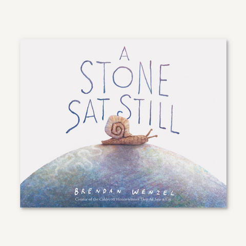 A Stone Sat Still