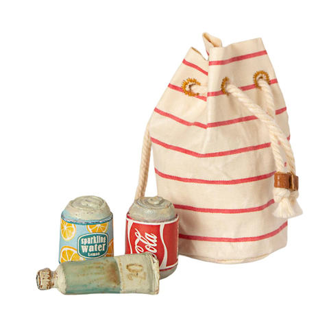 Bag of Beach Essentials