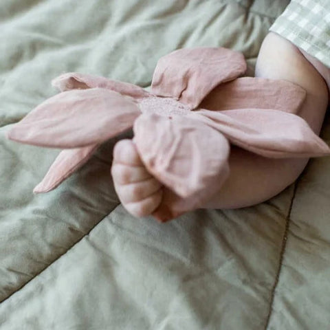 Crinkle Toys