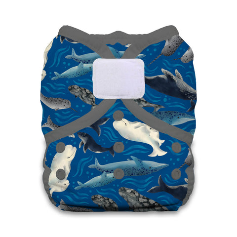 Duo Wrap Size 2 (hook and loop)