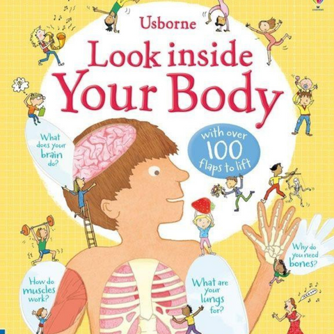 Look Inside Your Body Book