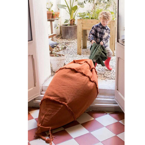 Bean Bag - Cathy the Carrot