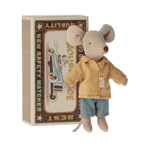 Mouse in a Box - Big Brother