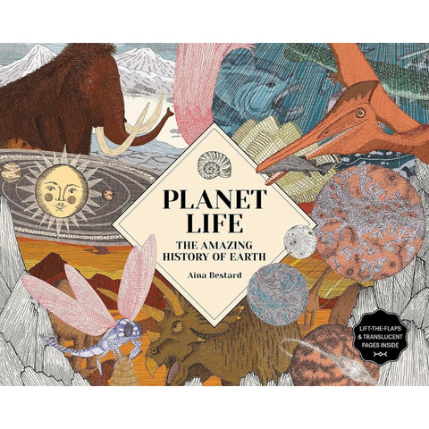 Planet Life The Amazing History of Earth