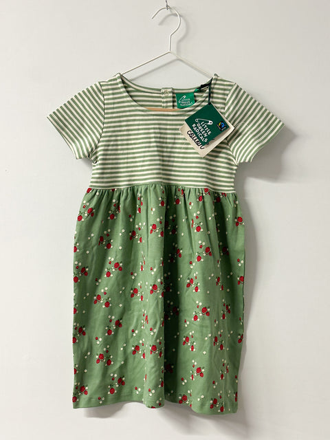 ♻ Little Green Radicals 5-6y Dress