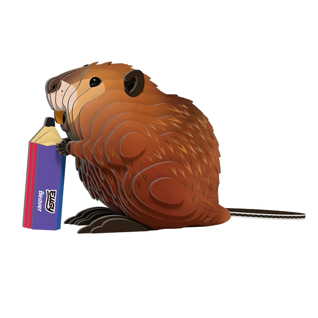 3D Model Kit - Beaver – Nesting House