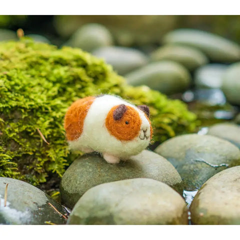 Guinea Pigs Kit
