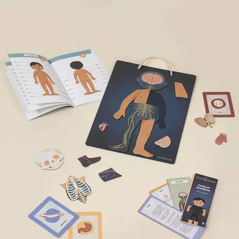 Interactive & Magnetic Encyclopedia – Body & Emotions