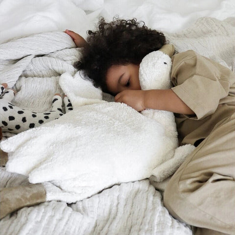 Organic Large Goose Warming Pillow + Cuddle Toy