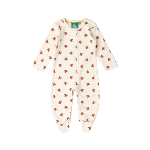 Little Robin Organic Babygrow