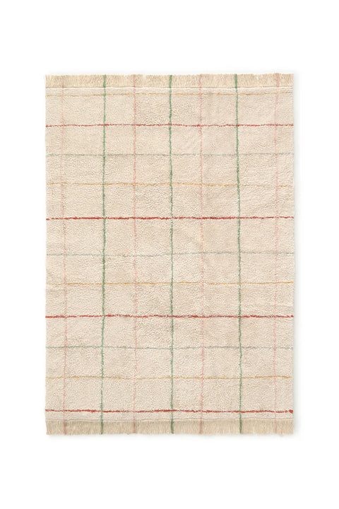 Washable Rug - Color Lines