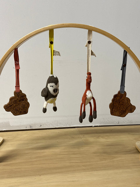 ♻ Finn and Emma Play Gym P57907