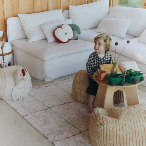Washable Rug - Color Lines