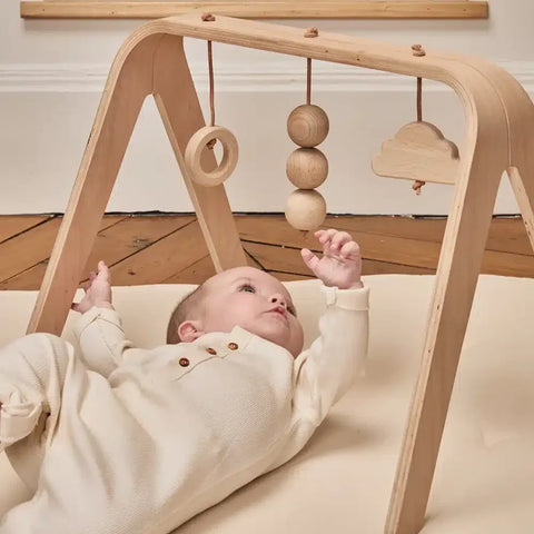 NAHO Arch + Wooden toys