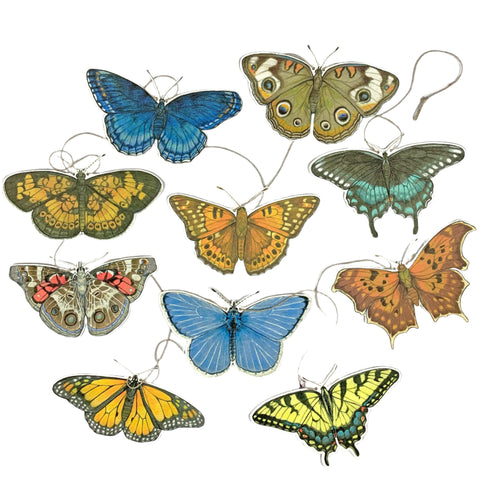 Eastern U.S. Native Butterfly Illustrated Garland