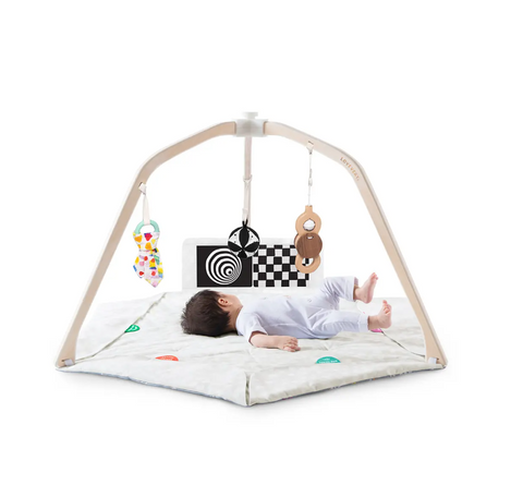 ♻ LovEvery Play Gym w/ accessories