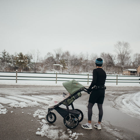 UPPAbaby Ridge V2 All-Terrain Stroller