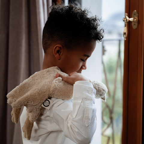 Organic Linen Goose Warming Pillow + Cuddle Toy
