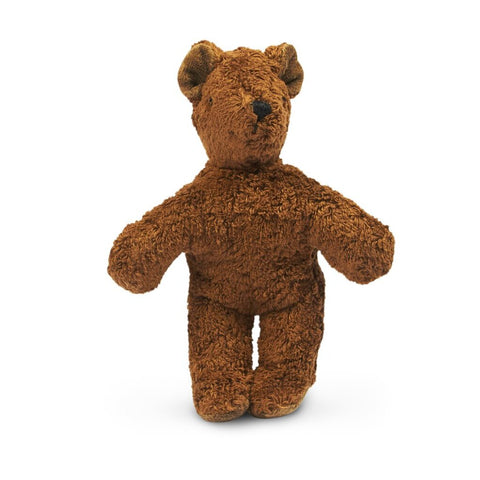 Animal Baby Bear