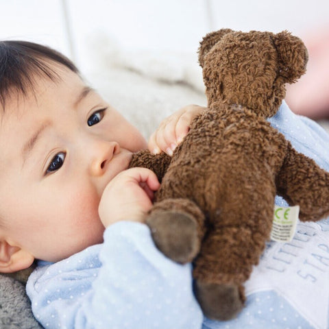 Animal Baby Bear