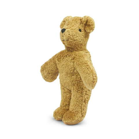 Animal Baby Bear