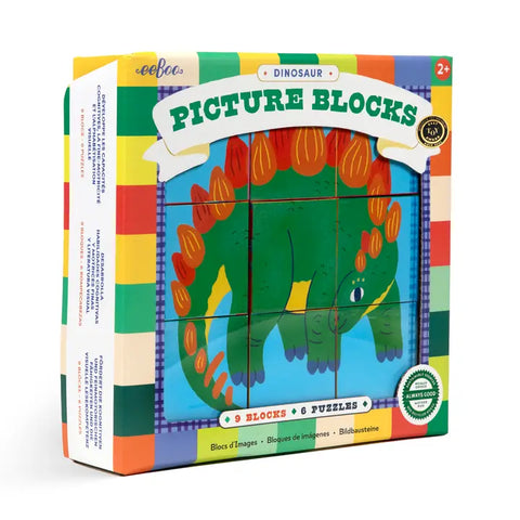 Picture Blocks - Dinosaur