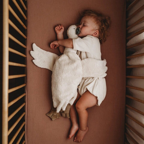 Organic Large Goose Warming Pillow + Cuddle Toy