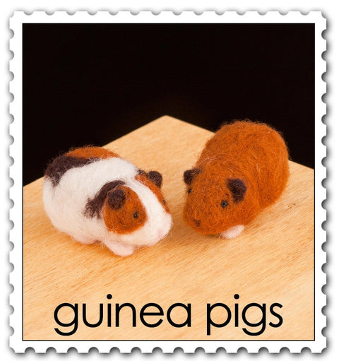 Guinea Pigs Kit