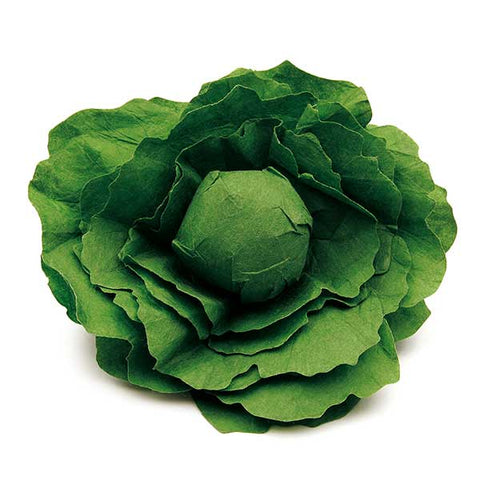 Lettuce