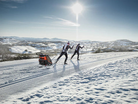 Thule Chariot Cross-Country 2 Skiing Kit