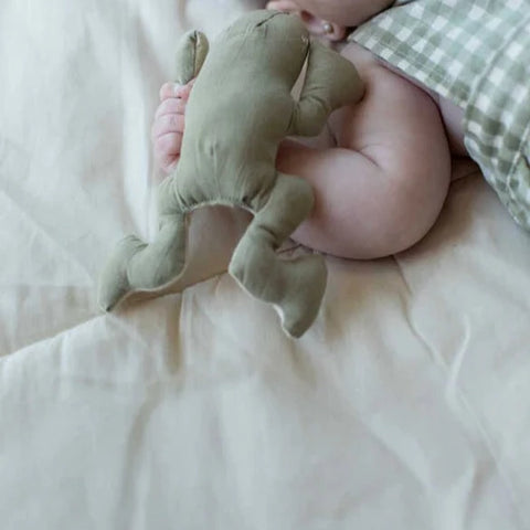 Crinkle Toys