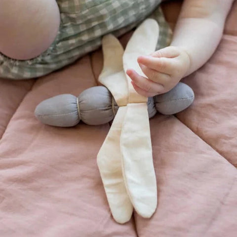 Crinkle Toys
